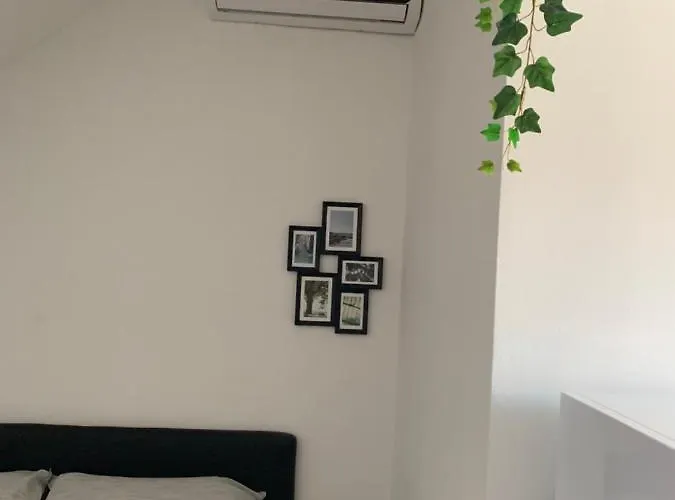 Apartment Montevecchio 11 Turin